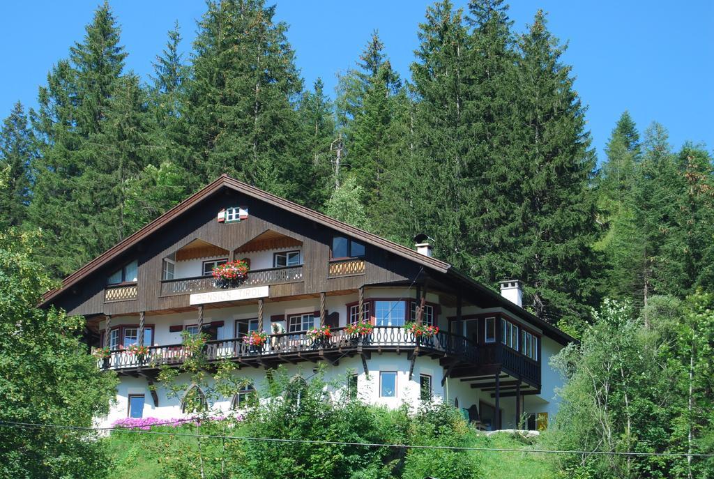 Ferienwohnung Pension Tirol 비클바흐 외부 사진
